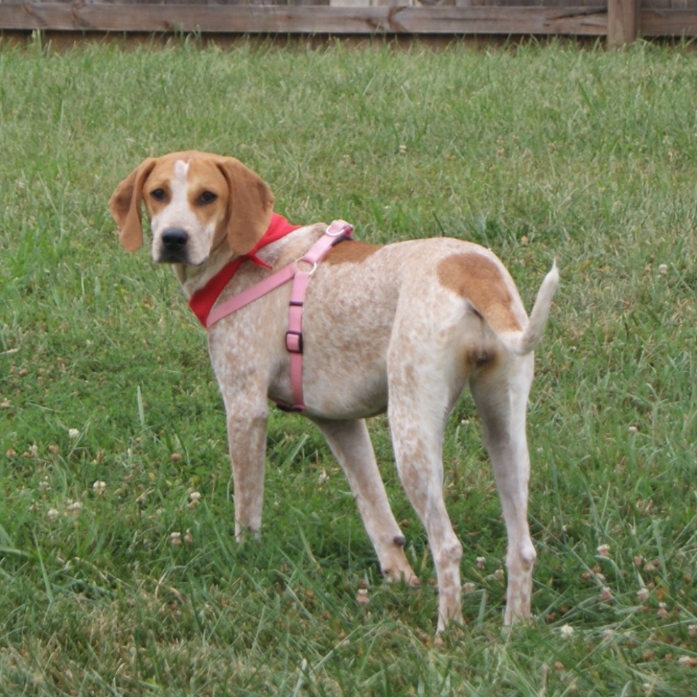 Meet your Posher, Sabrina